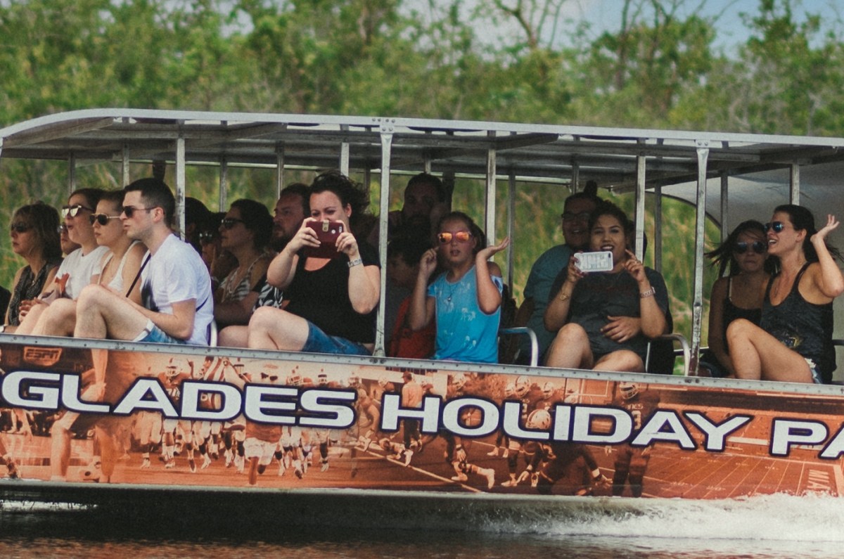 People on a boat tour in a swamp, taking photos and enjoying the ride.