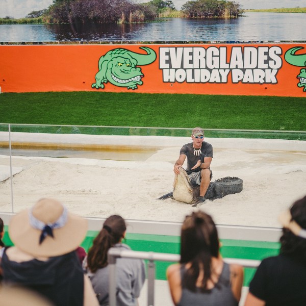 Person performing with an alligator in front of an audience at Everglades Holiday Park.