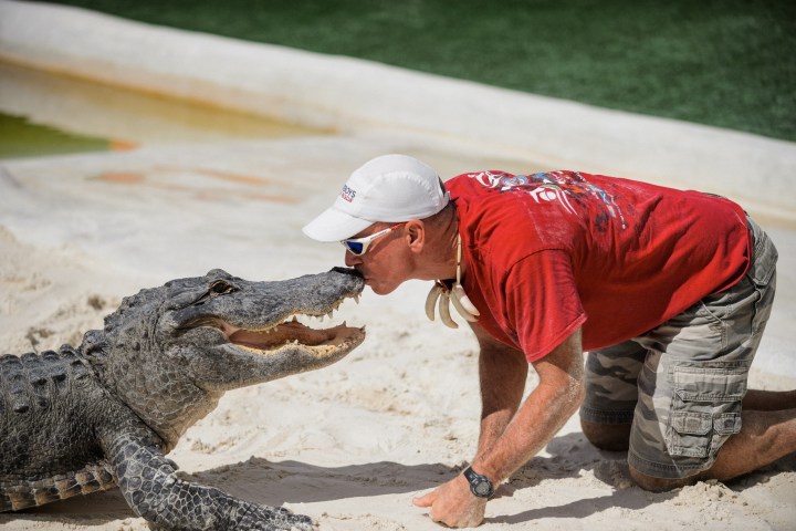 Man in red shirt kissing an alligator's snout on sandy ground.