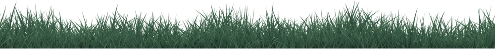 Illustration of dense green grass on a white background.