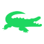 Alligator